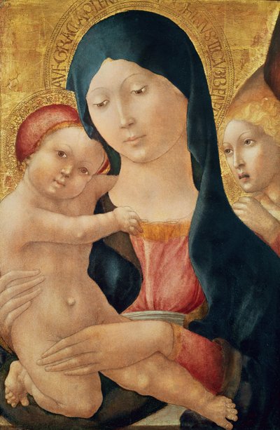 Jungfrau und Kind mit einem Engel, ca. 1468-70 von Liberale da Verona